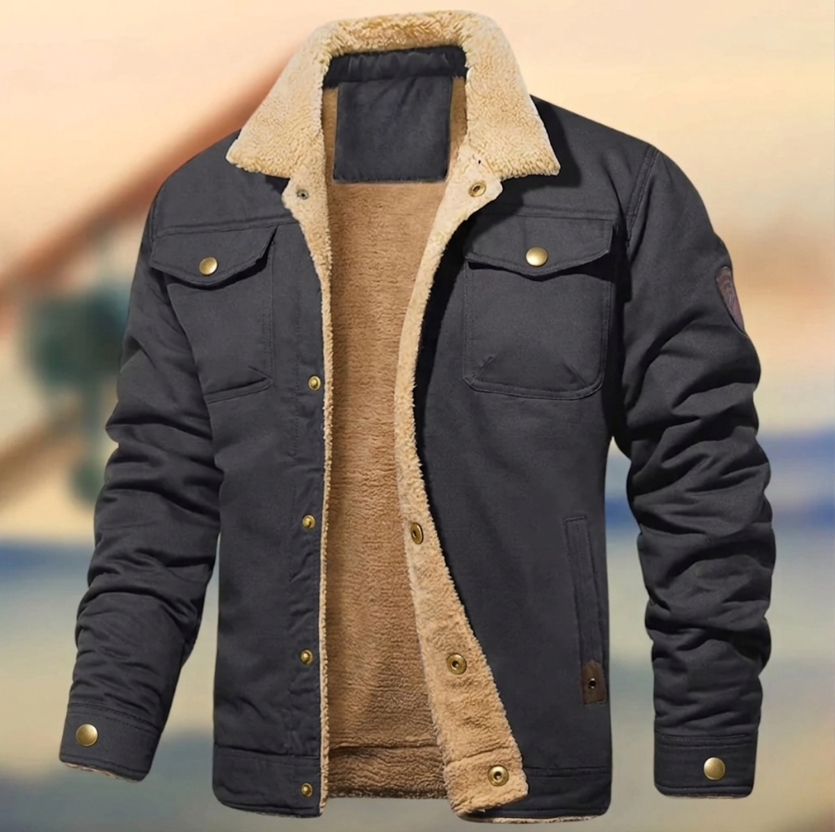 Men's Sherpa Collar Button-Down Jacket for Daily Use Warm Gray