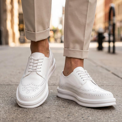 Men's Stylish Casual Brogue Sneakers for Fall and Winter Everyday Wear