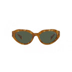 Brown Acetate Sunglasses