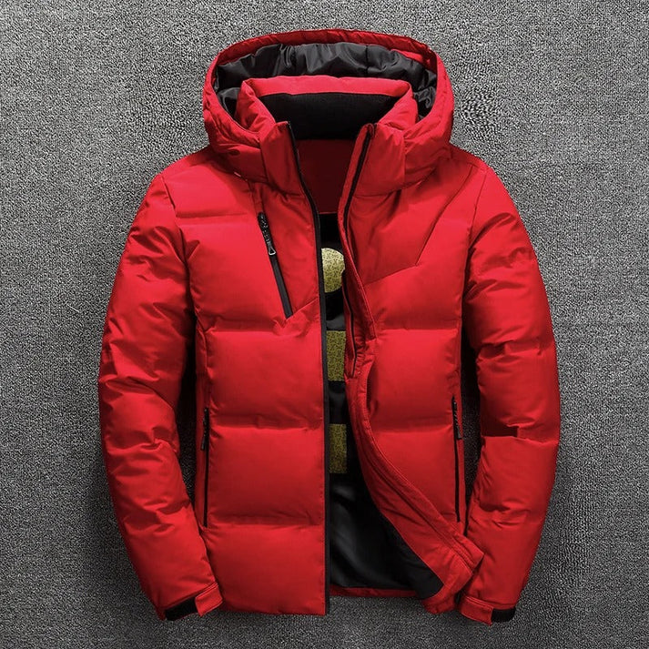 Men's Gray Hooded Puffer Jacket for Fall and Winter Everyday Wear Red