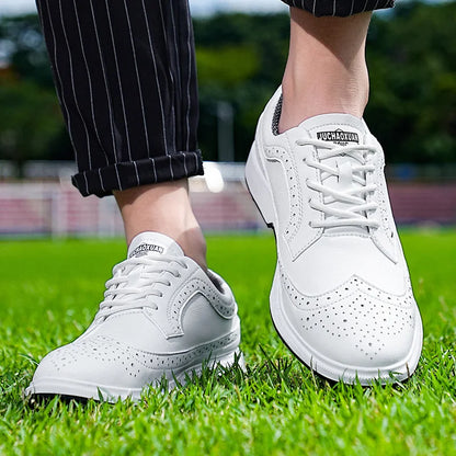 Men's Elegant Brogue Dress Footwear for Fall and Winter Everyday Wear